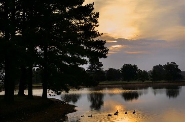 whisperong woods hotel and confrence - 4