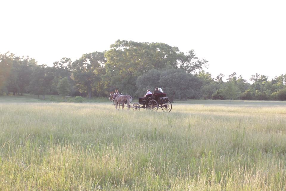 The Barn at Sara Bella - 4