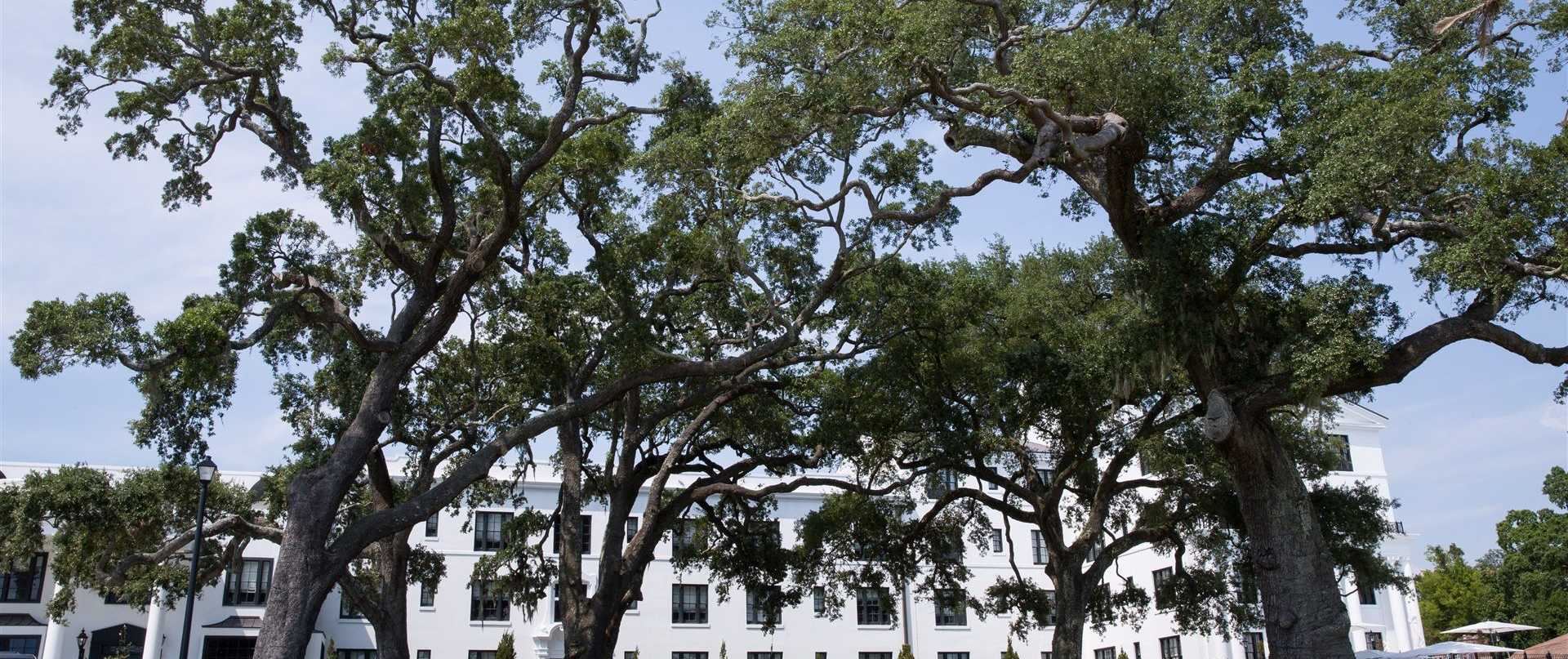 The White House Hotel - 4