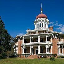 Glenfield Plantation - 5