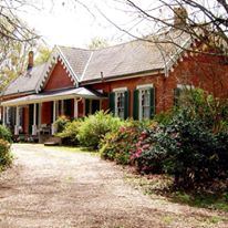 Glenfield Plantation - 7