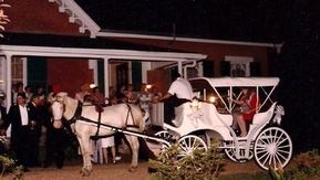 Glenfield Plantation - 6