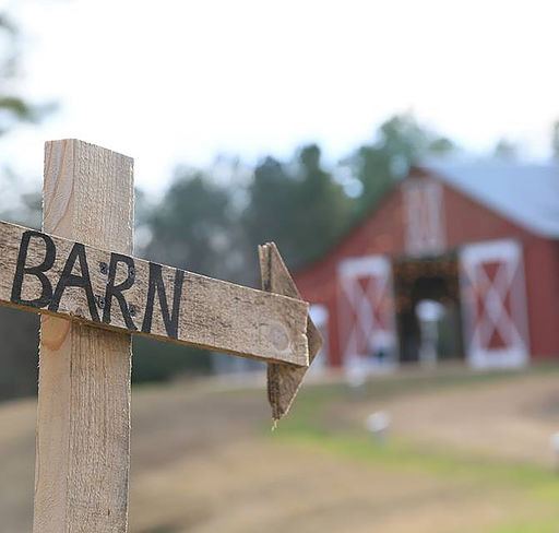 The Nests B and B at Holly Grove Farm - 5