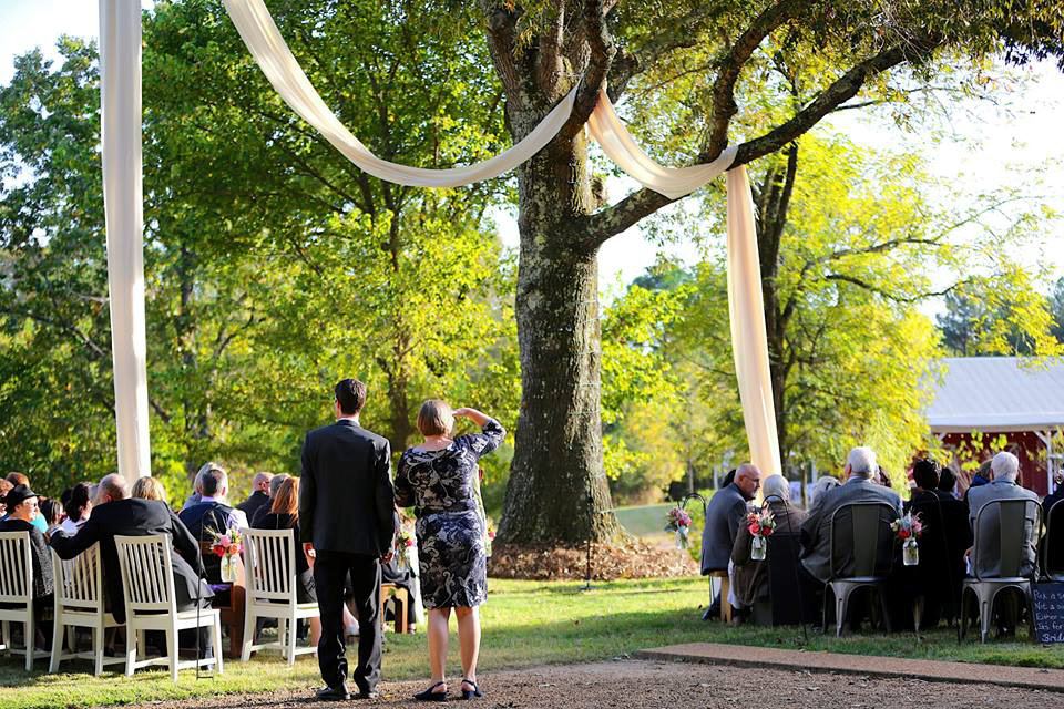 The Nests B and B at Holly Grove Farm - 1