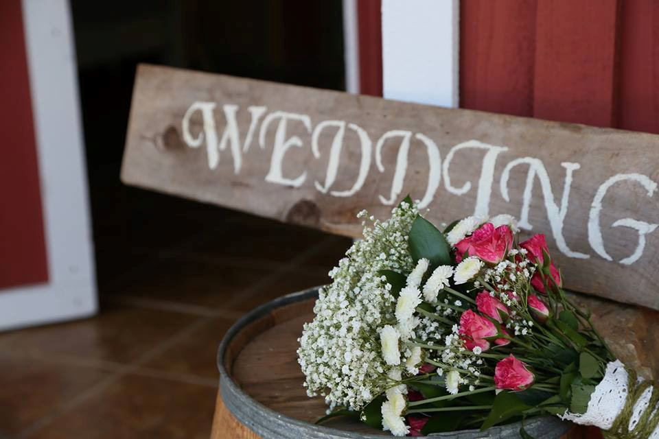 The Nests B and B at Holly Grove Farm - 3