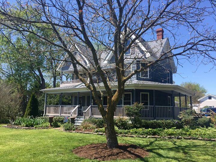 Lavender Fields at Warrington Manor - 2