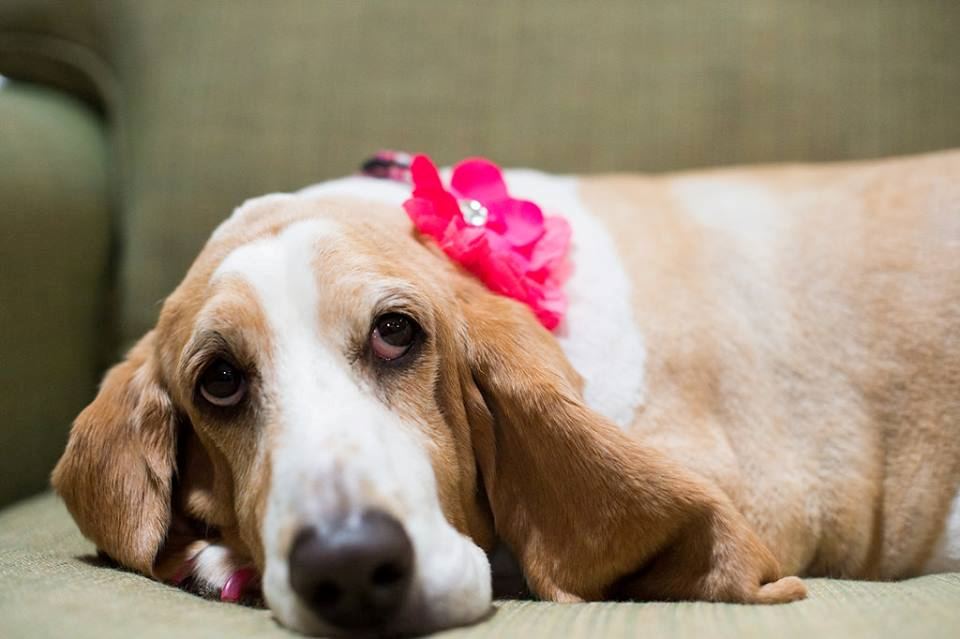 The Milton Theatre - 1