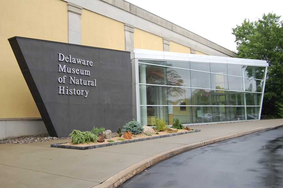 Delaware Museum of Natural History - 3