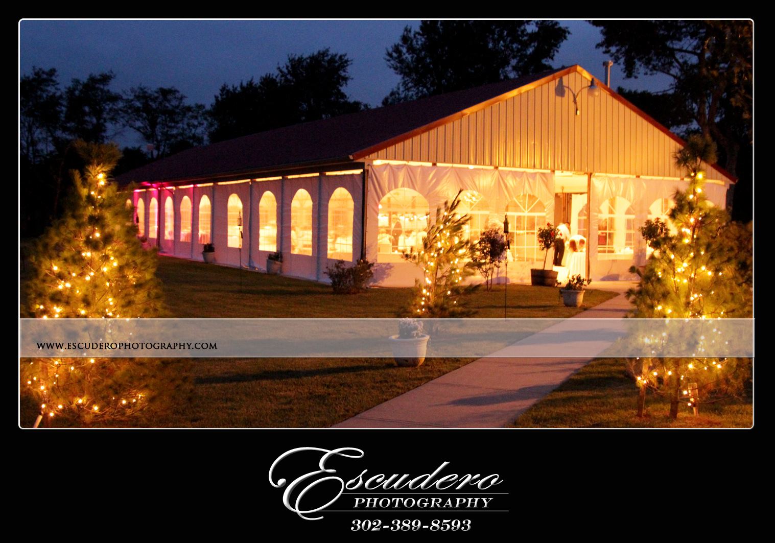 Pizzadili Winery - 6