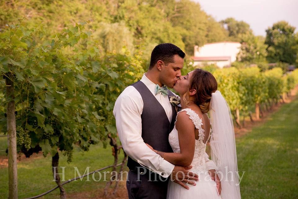 Pizzadili Winery - 2