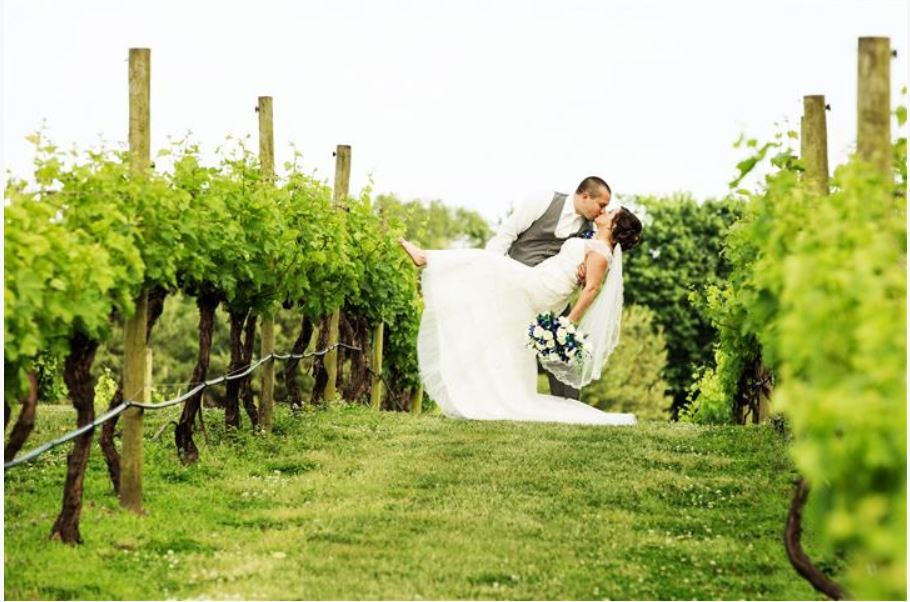 Pizzadili Winery - 3