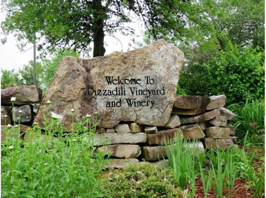 Pizzadili Winery - 1