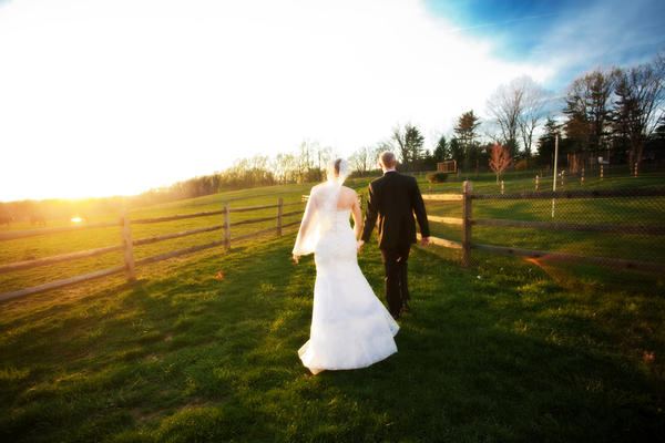 Vicmead Hunt Club - 1