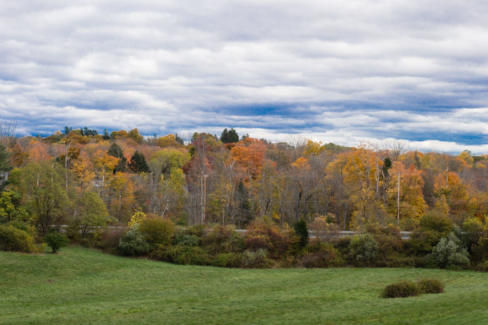 Peirce Farm at Witch Hill - 2