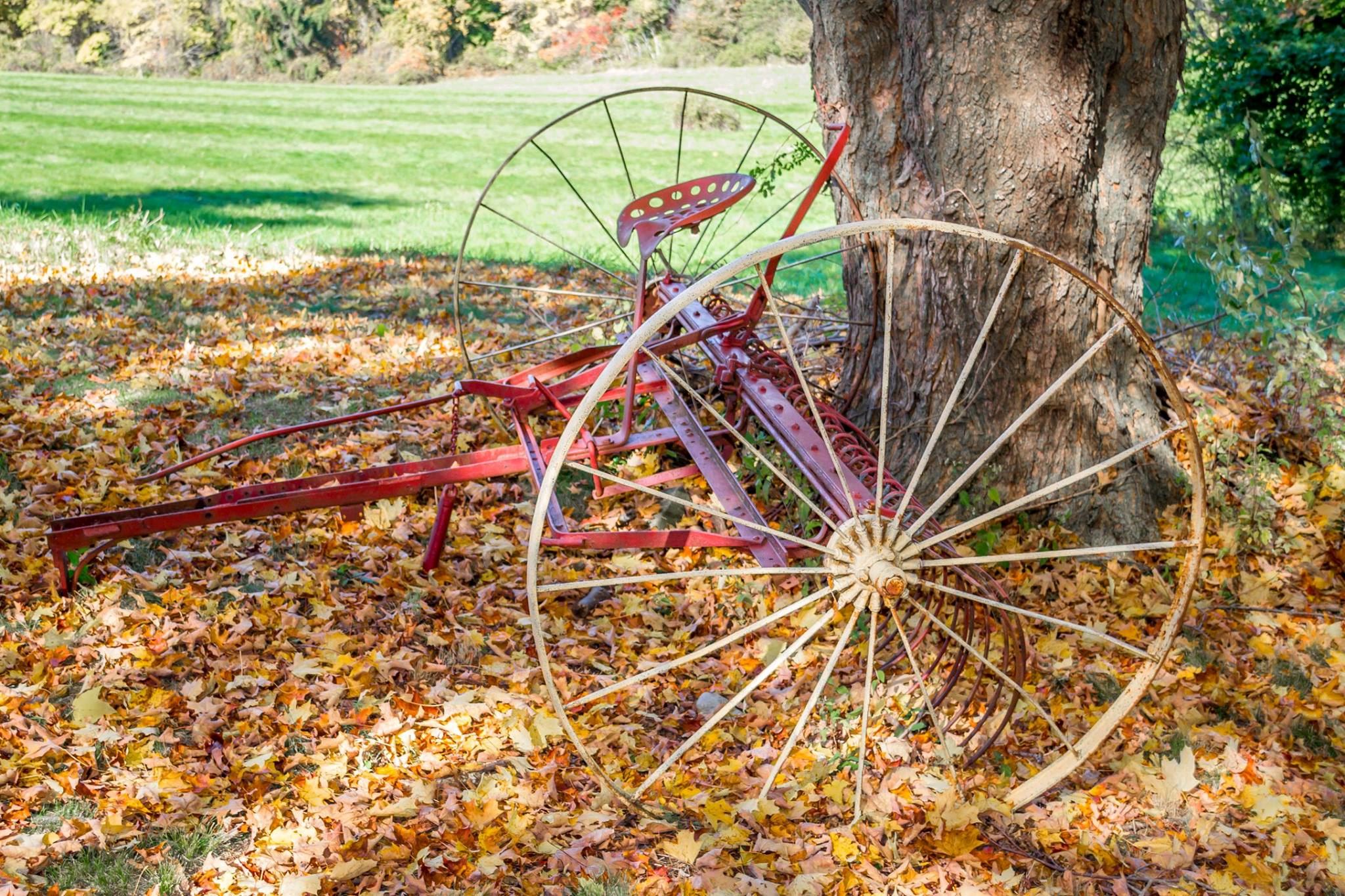 Peirce Farm at Witch Hill - 6