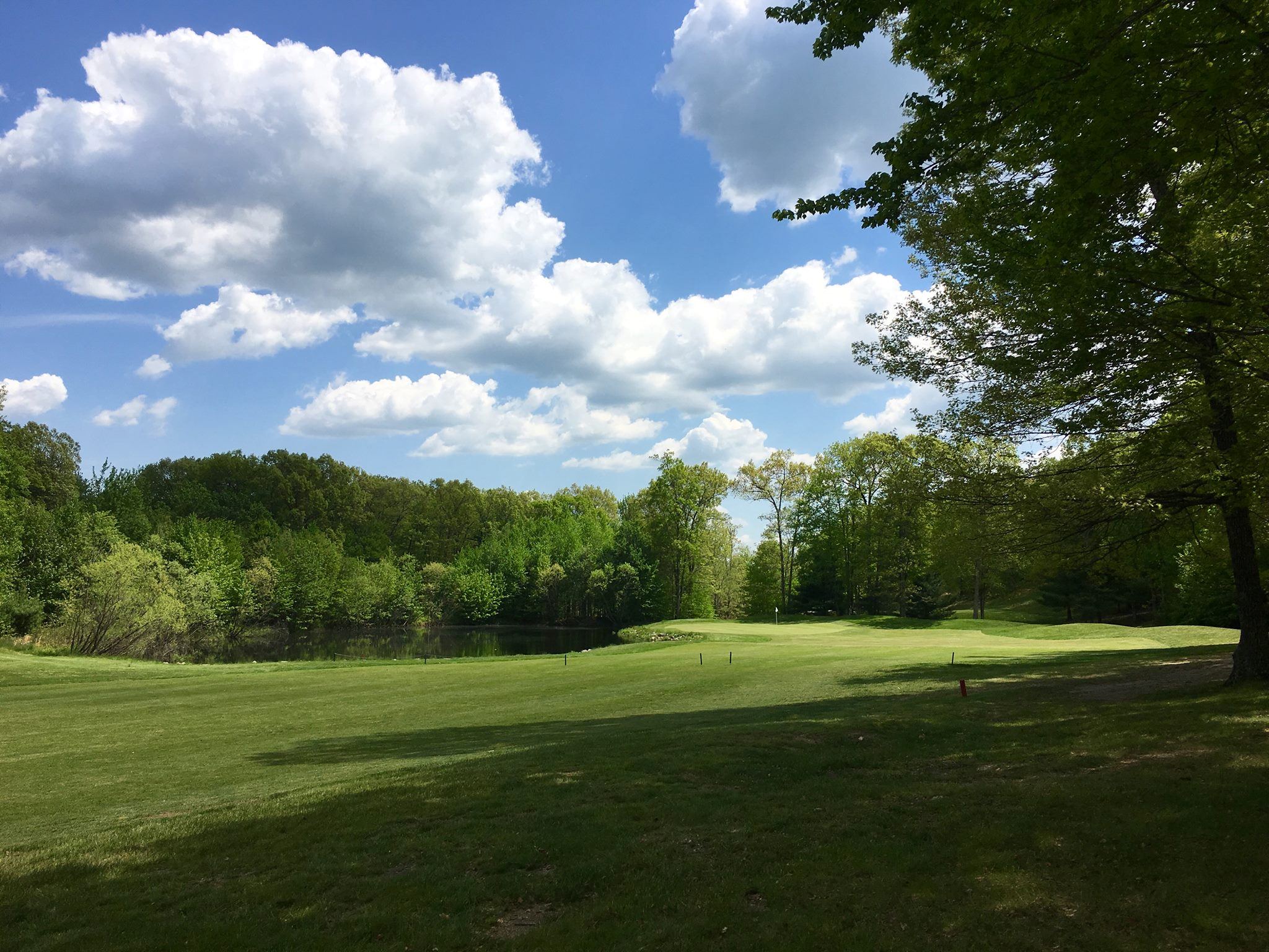 The Blissful Meadows Golf Club - 7