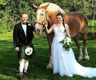 Terrydiddle Farm - 1