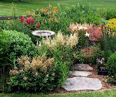 Terrydiddle Farm - 6