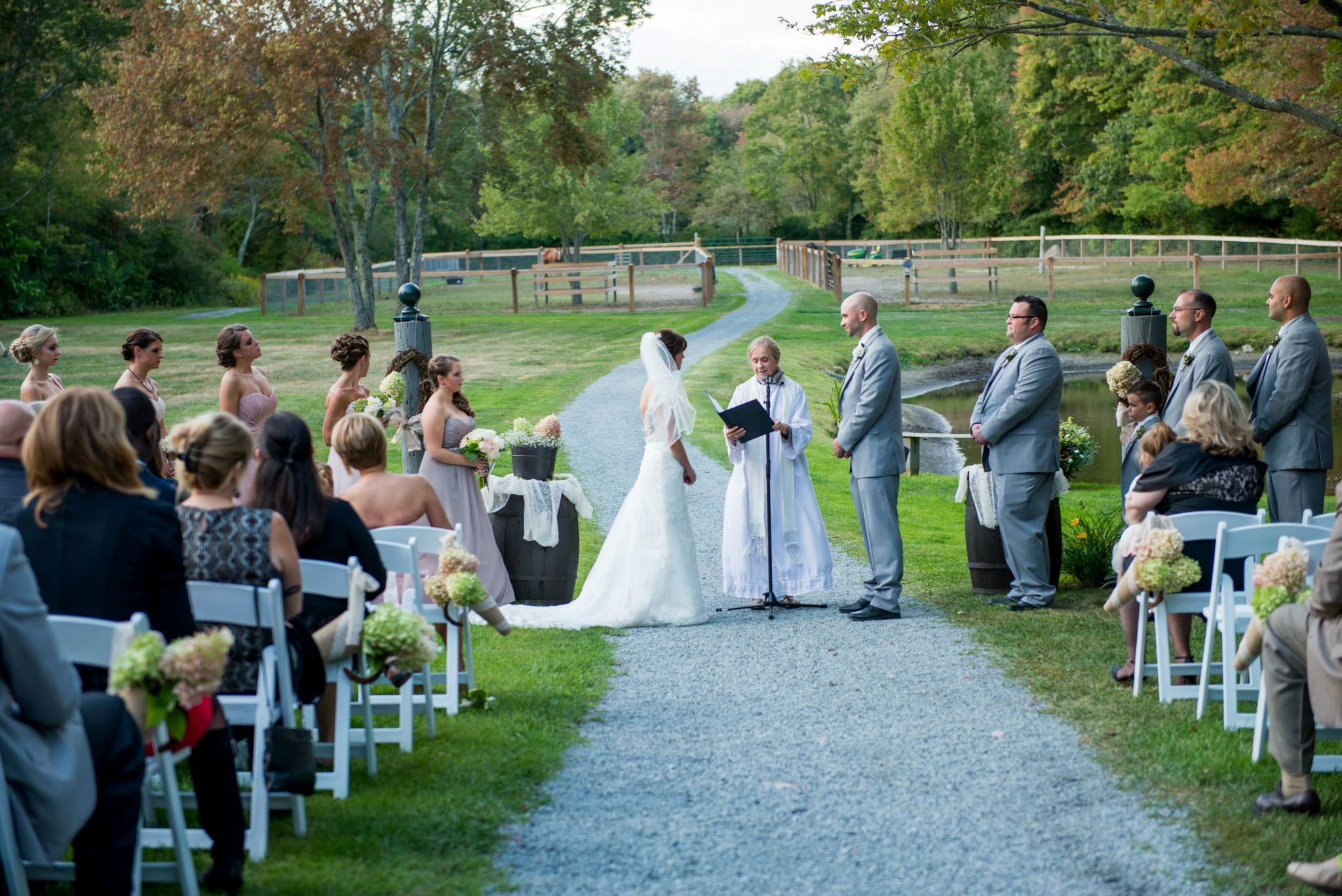 Terrydiddle Farm - 2