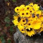 Grafton Inn Vermont - 5