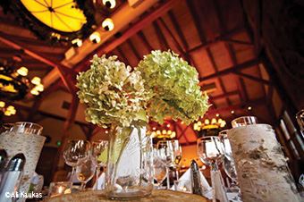 Stratton Mountain Resort - 7