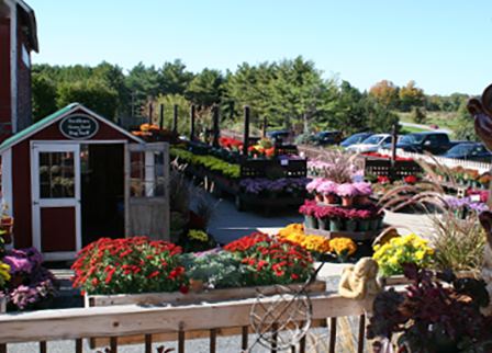 The Barn At Lang Farm - 3