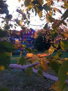 The Barn At Lang Farm - 5