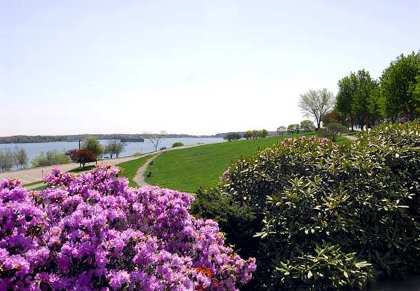 Portland Marriott At Sable Oaks - 3