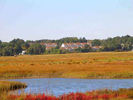 Village By The Sea - 7