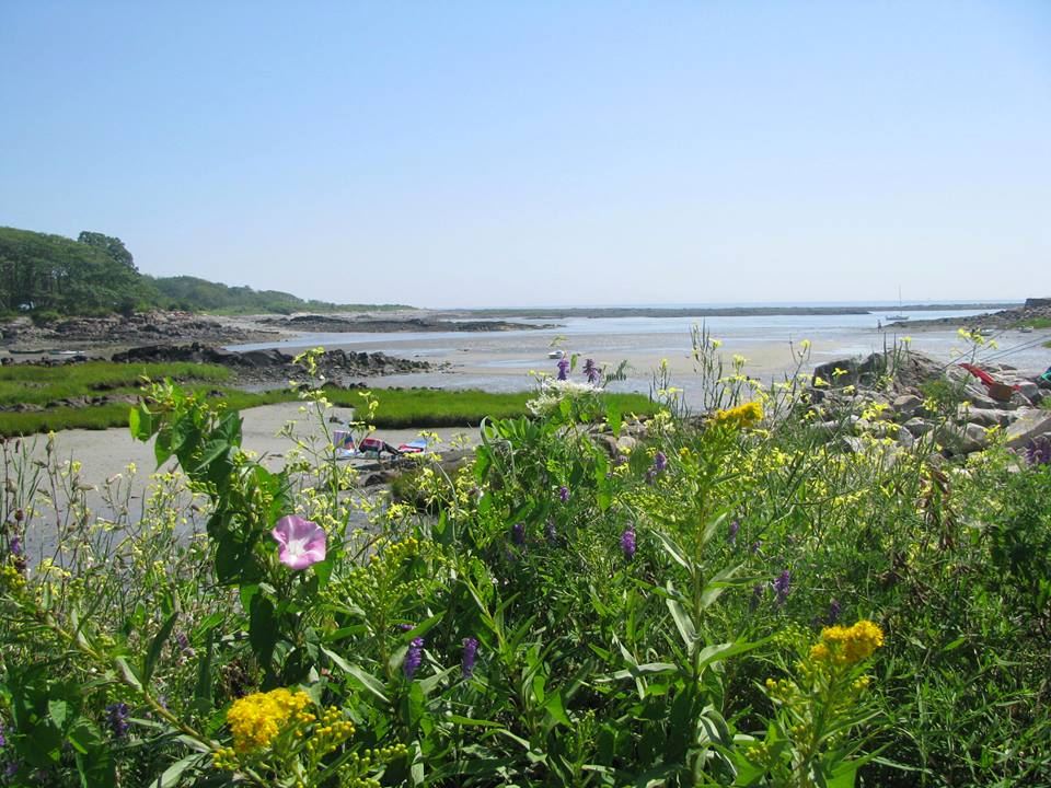 Rhumb Line Resort - 1