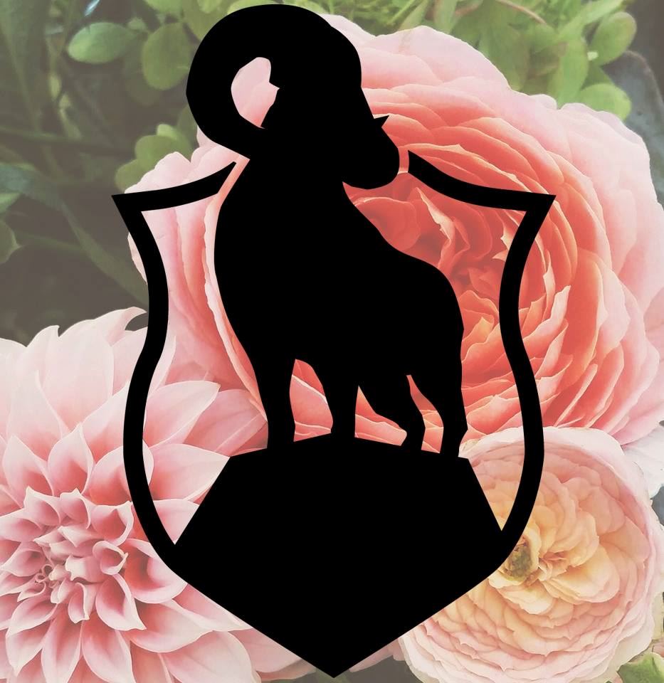 The Preserve At Boulder Hills - 4