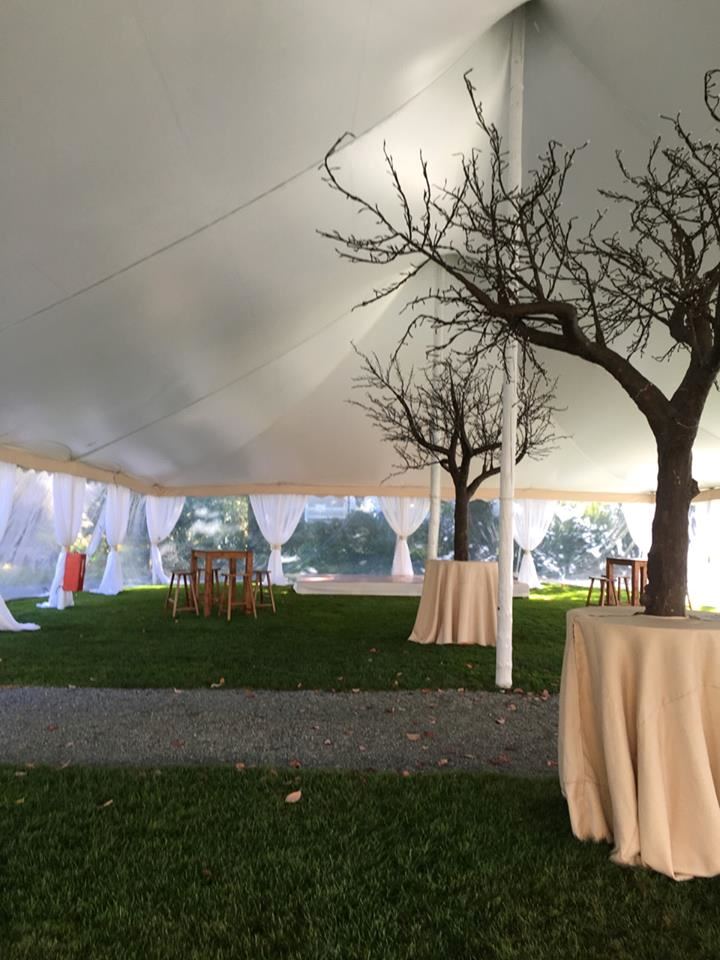 Linden Place Mansion - 4