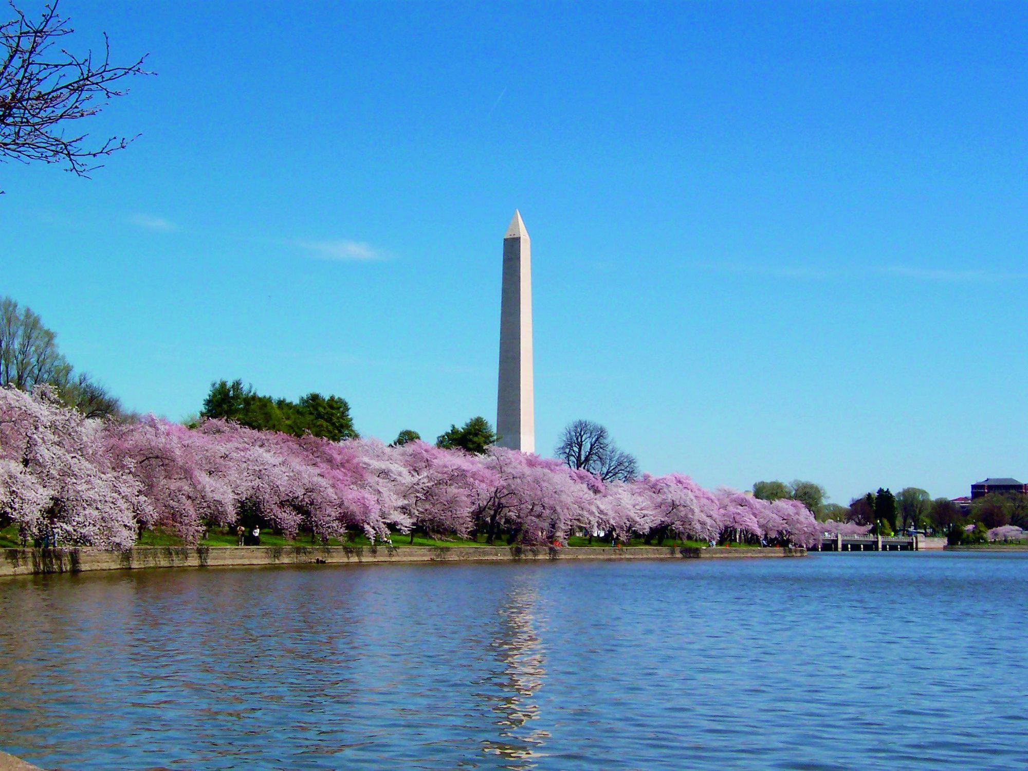 The Ritz-Carlton, Georgetown - 1