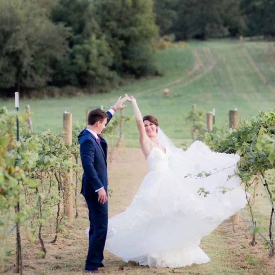 Sassafras Springs Vineyard - 2