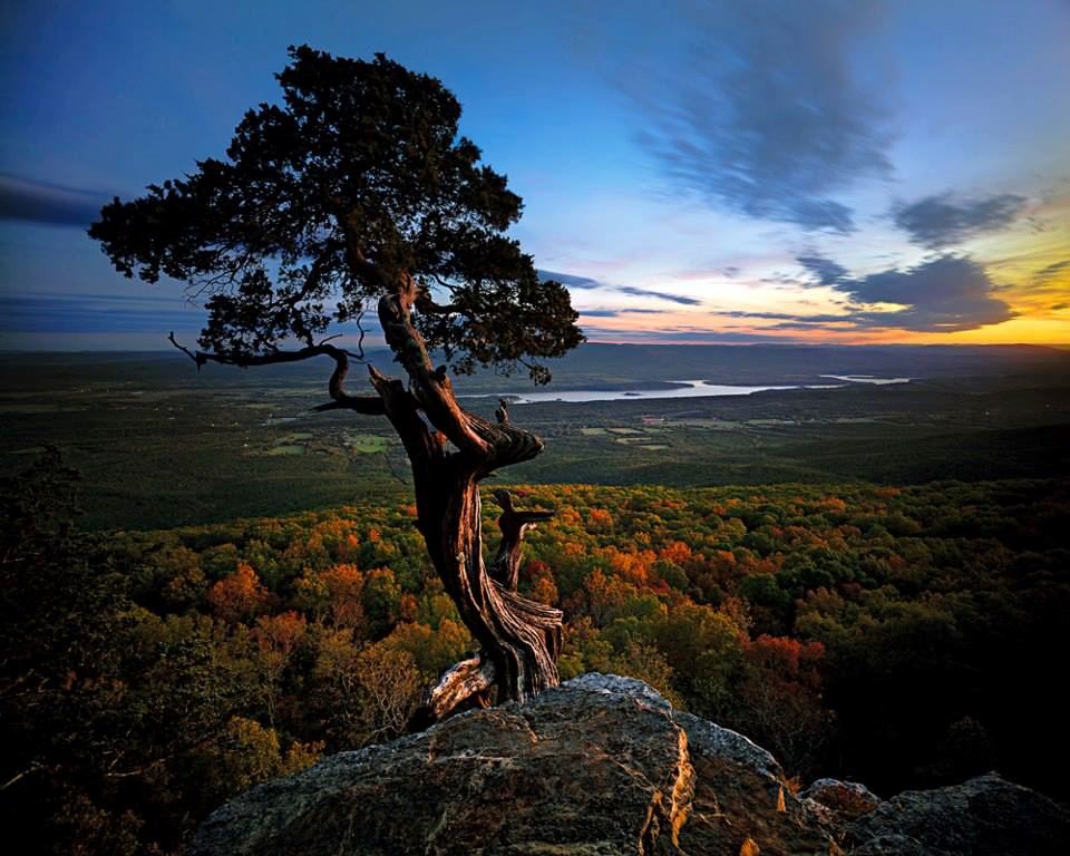 The Peel Compton Foundation - 1