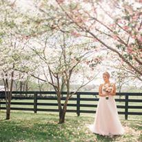 Warrenwood Manor - 2