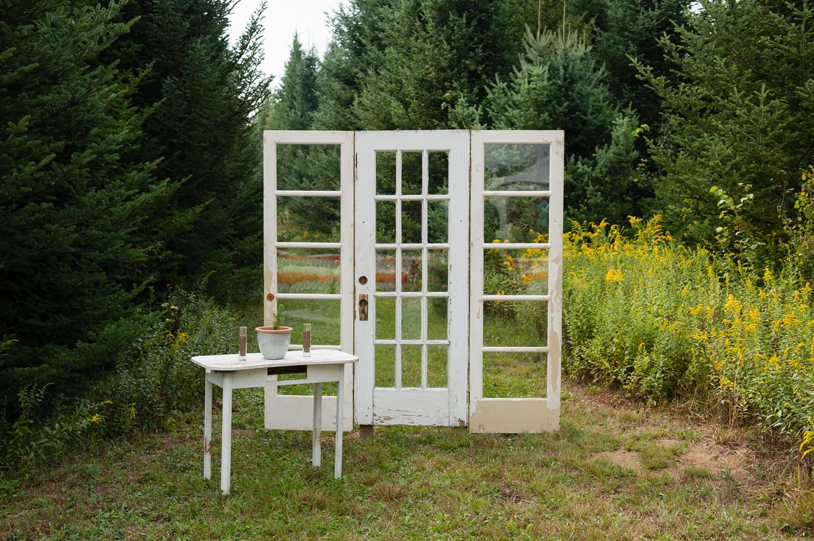 Tollander Tree Farm - 4