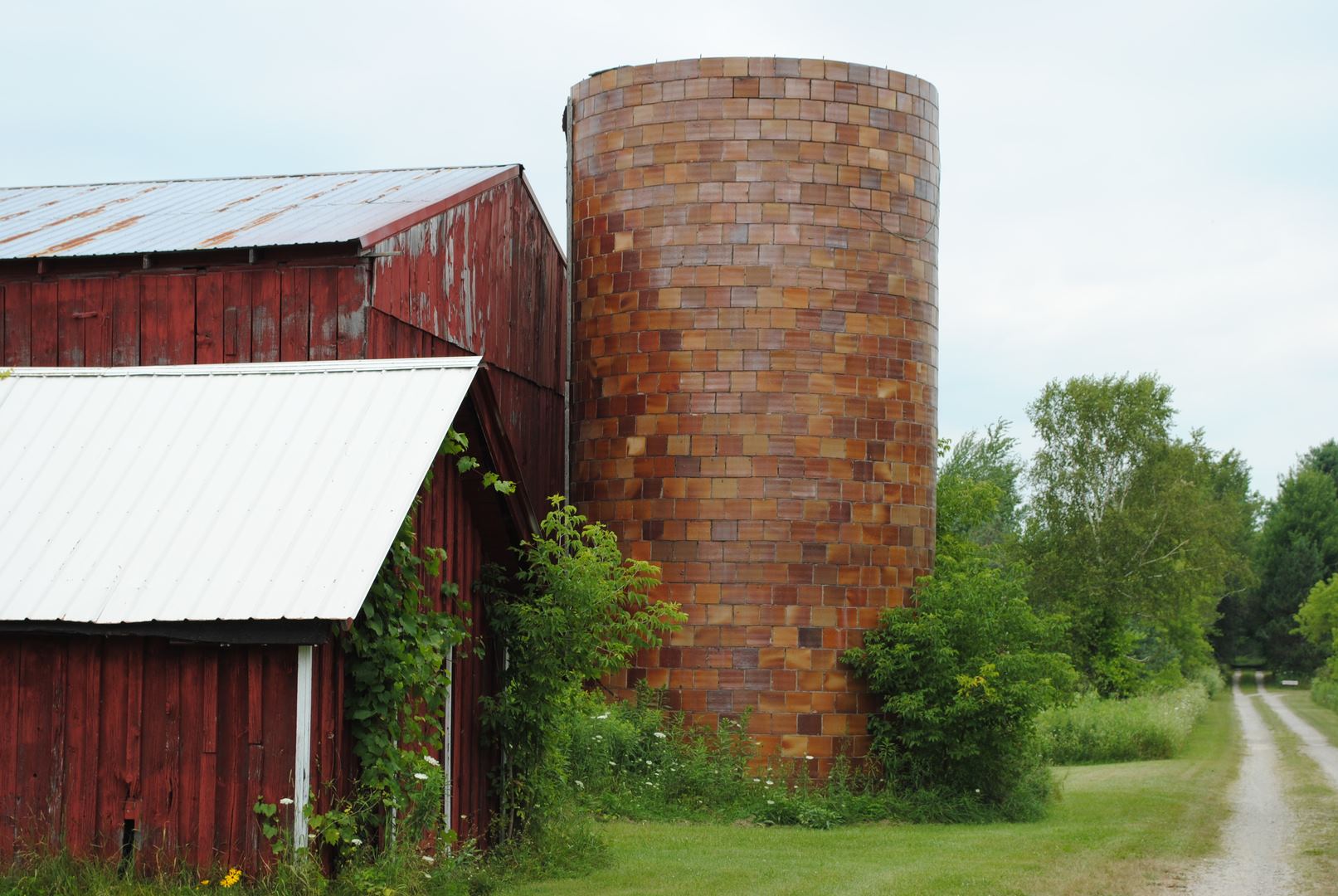 Tollander Tree Farm - 3