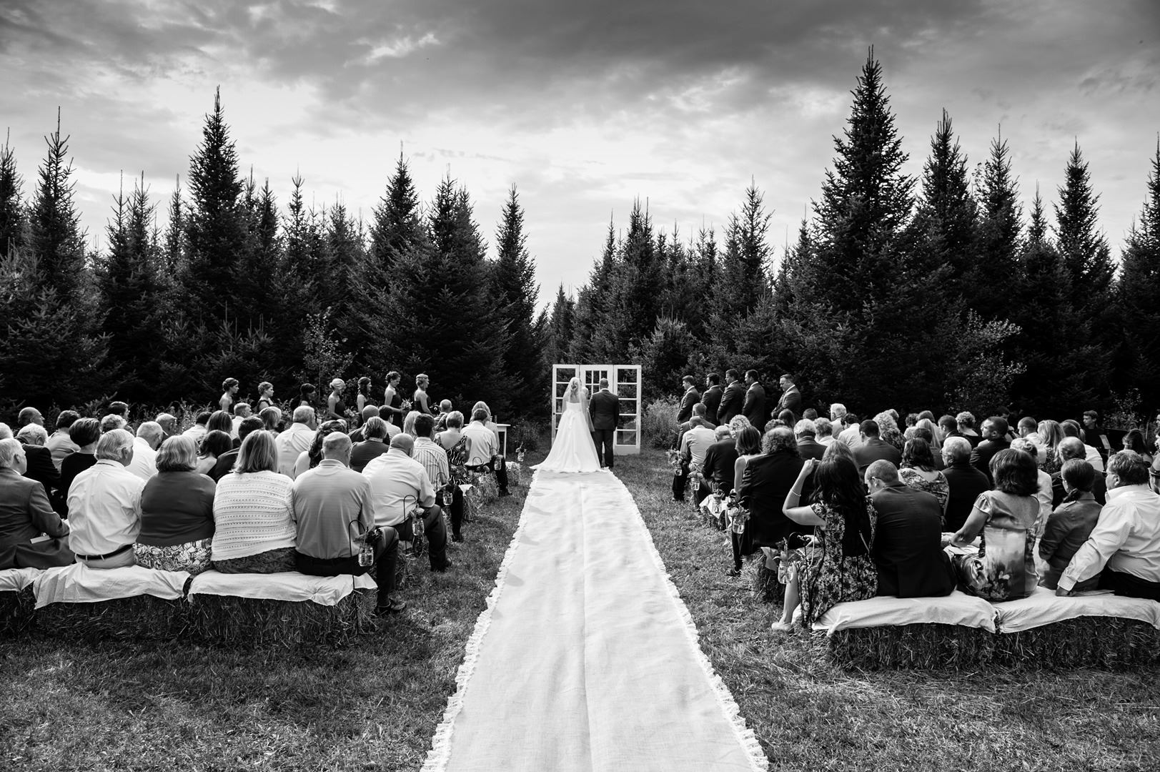 Tollander Tree Farm - 6