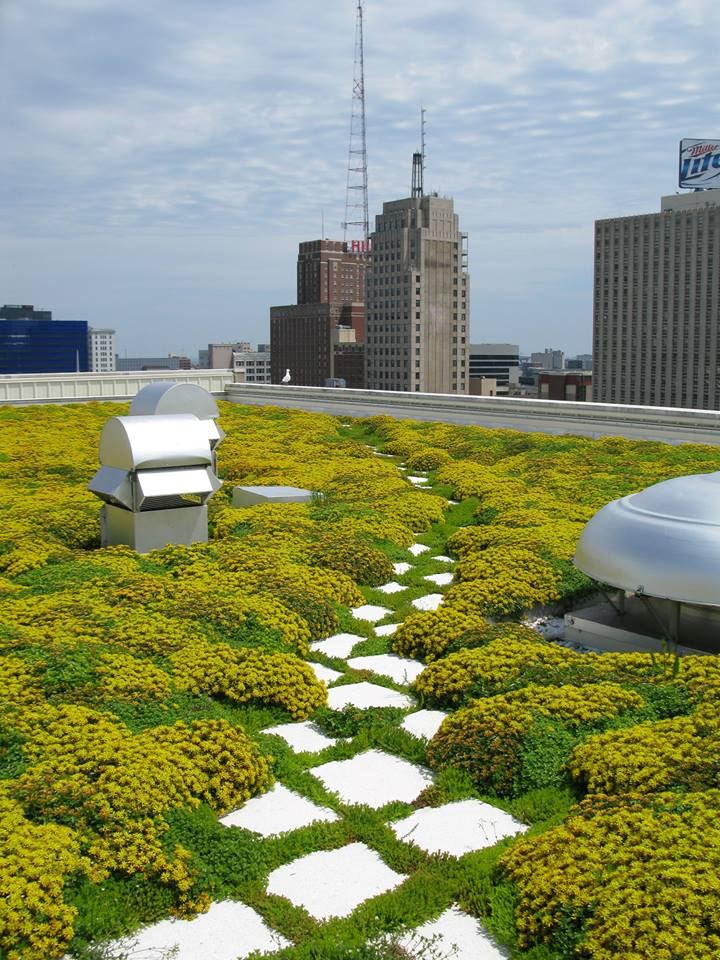 Milwaukee Public Museum - 2