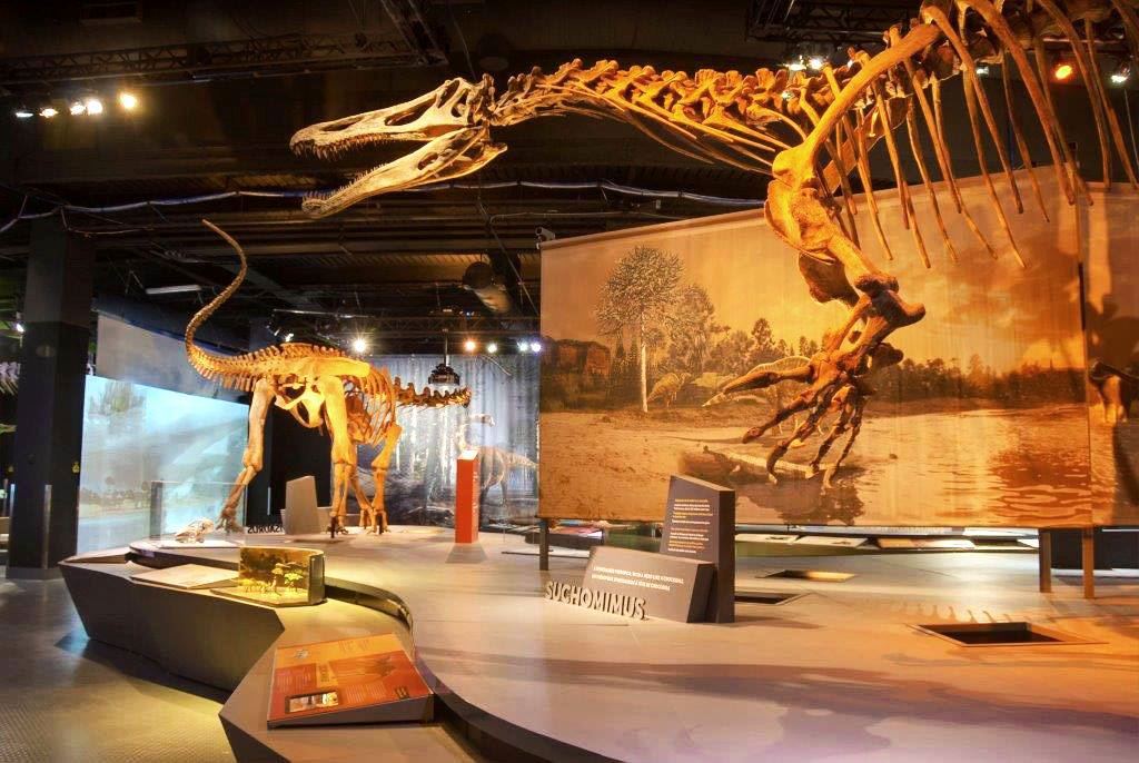 Milwaukee Public Museum - 3