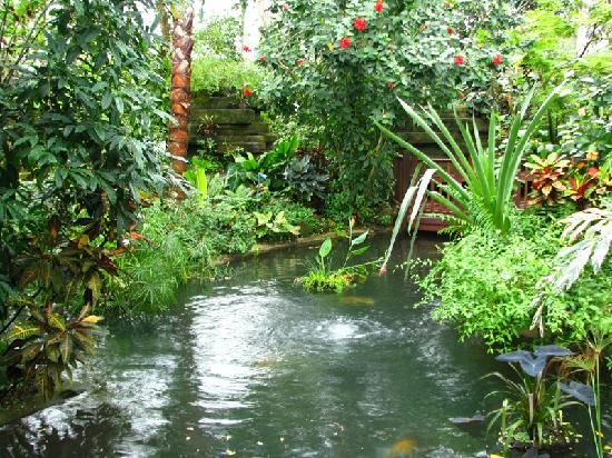 Mitchell Park Conservatory 