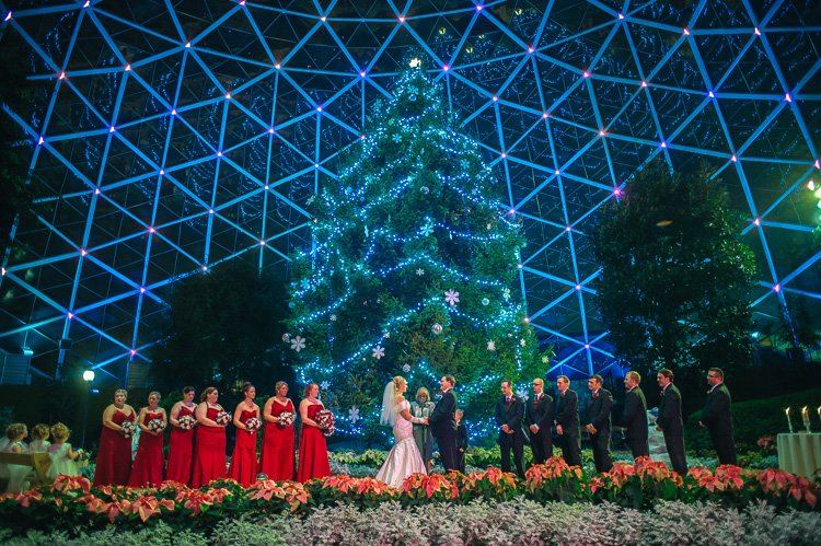 Mitchell Park Conservatory 