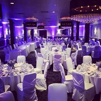 The Delafield Hotel - 5