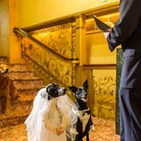 The Pfister Hotel - 4