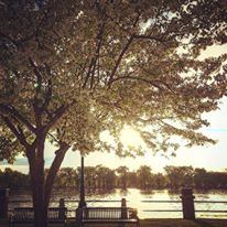 The Charmant Hotel - 6