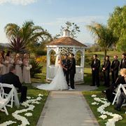 Wedgewood Palm Valley - 2