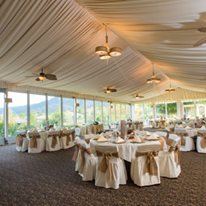 Wedgewood Palm Valley - 5