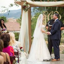 Wedgewood Palm Valley - 1