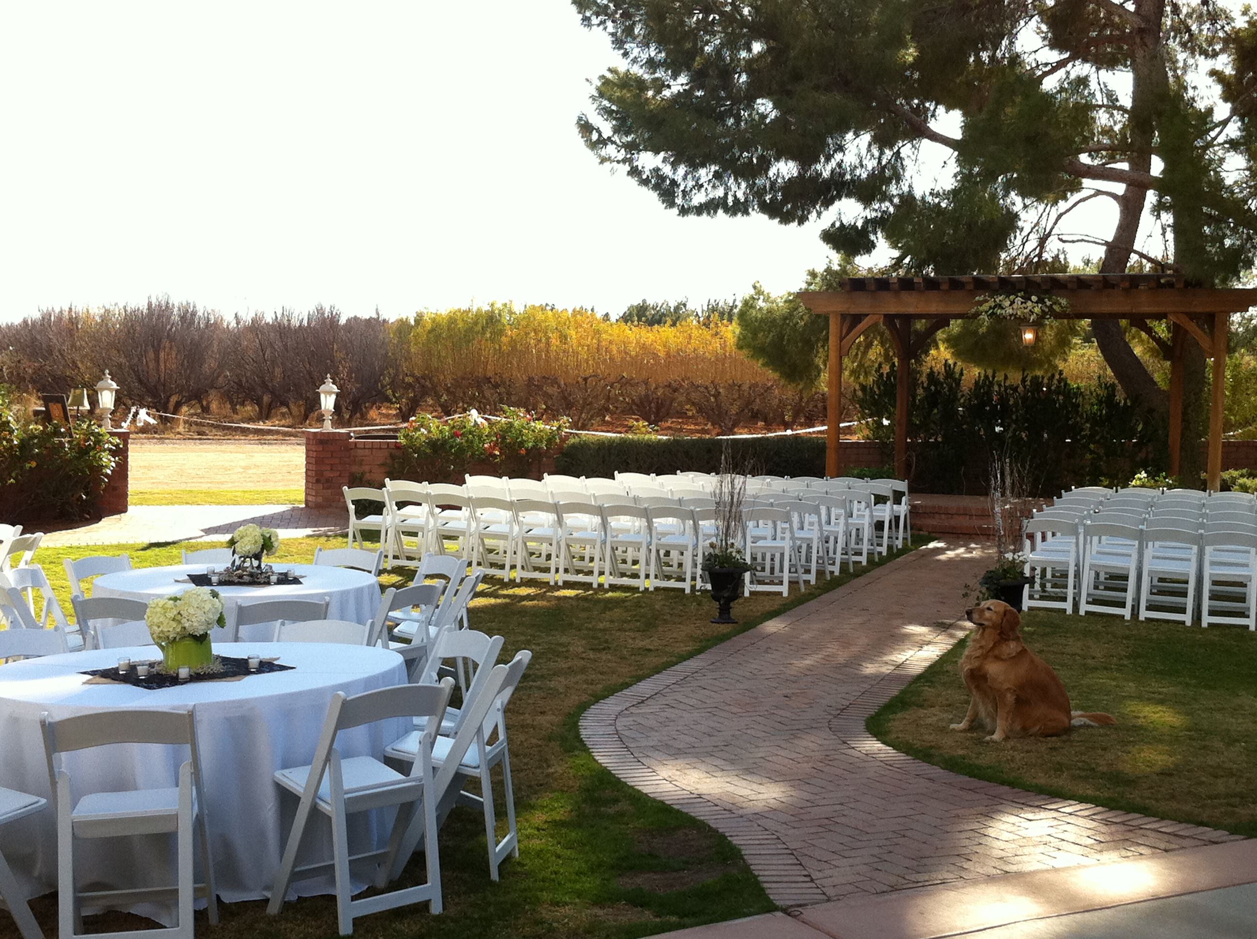 Schnepf Farms Queen  Creek  Arizona Wedding  Venue 